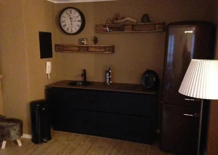 Himmelmuehle 公寓 维森巴特温泉